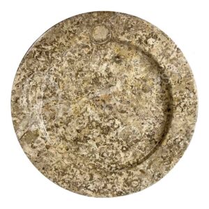 Fossil Coral Plate
