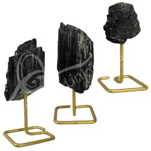 Black Tourmaline Specimens on Gold Stand
