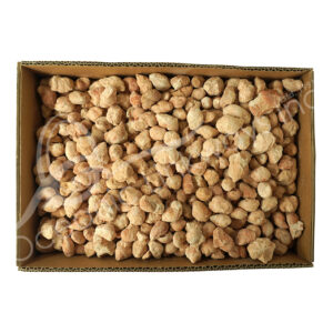 Moroccan Ammonite Fossil