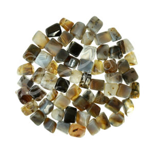 Tumbled Stones Dendritic Agate