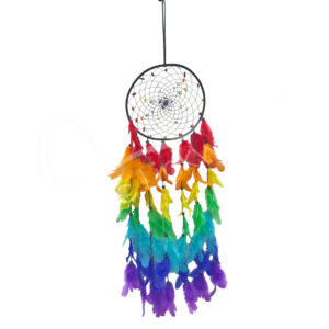 Chakra Feathers Dreamcatcher