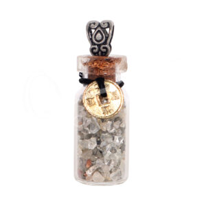 Citrine & Pyrite Chips in Bottle Necklace with Chinese Coin