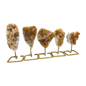 Polished Citrine A & B Druse on Stand