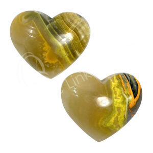 Bumble Bee Jasper Heart