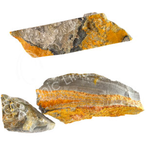 Bumble Bee Jasper Rough Stone